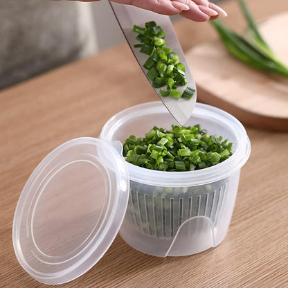 Fridge Organizer with Drain Basket (Double Layer, Space Saving)